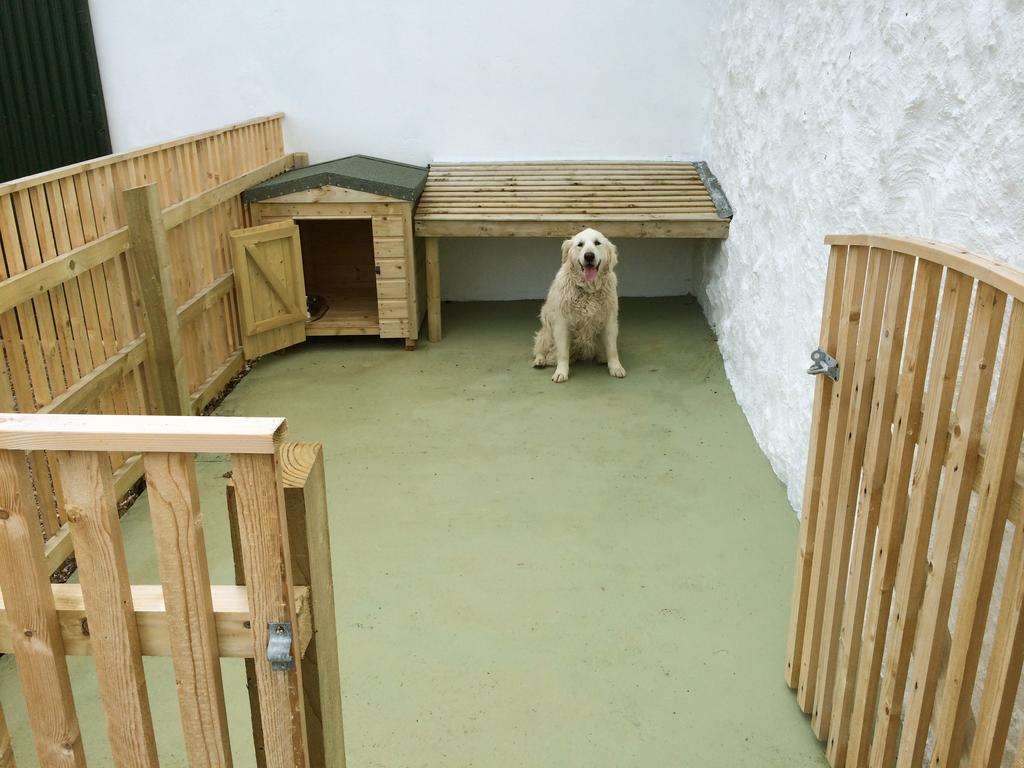 Cobblers Cottage Creggan Greencastle  Room photo